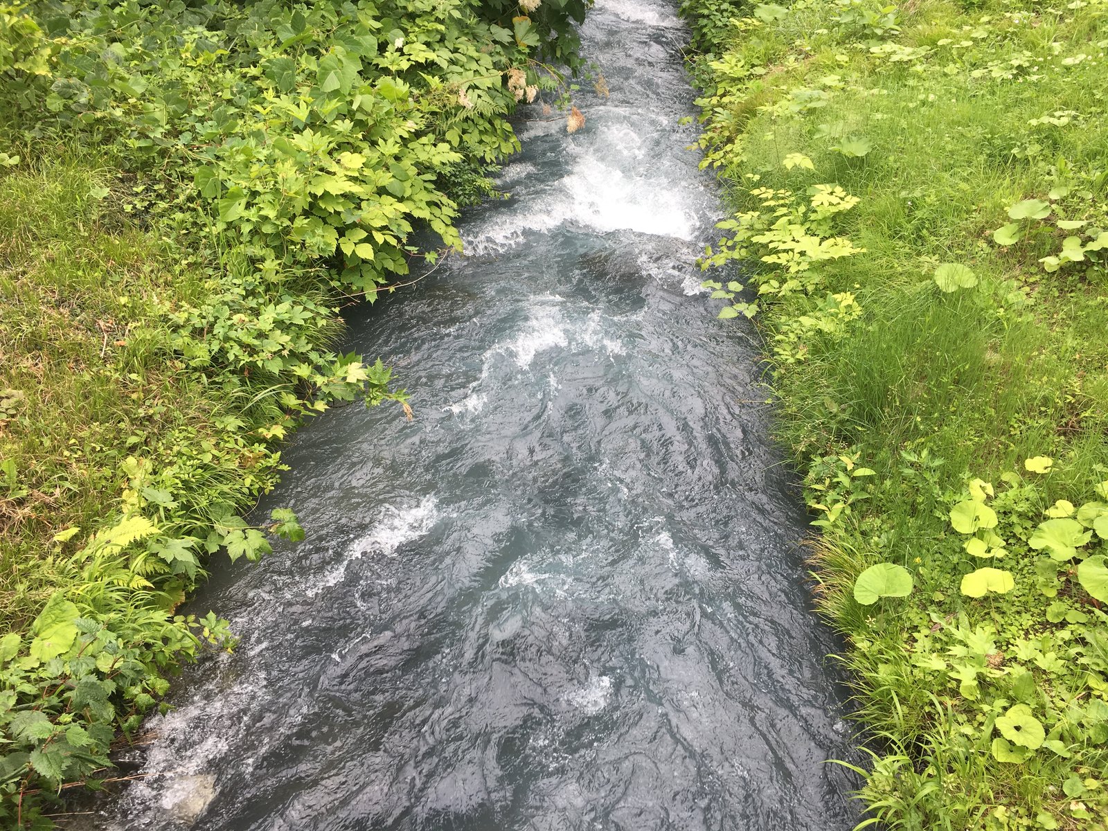 おびなたの湯のそばを流れる沢。両岸の草にはさまれた細い流れが、白くしぶきを立てて下っている